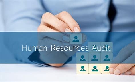 Read more about the article Pelatihan HR Audit Untuk Meningkatkan Performansi Sdm